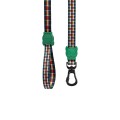 Travis-Leash-3_r.jpg
