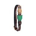 Travis-Collar-Zee-cat-3_r.jpg