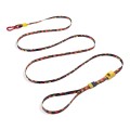 Farm_Long_Leash_Samba_1_r.jpg