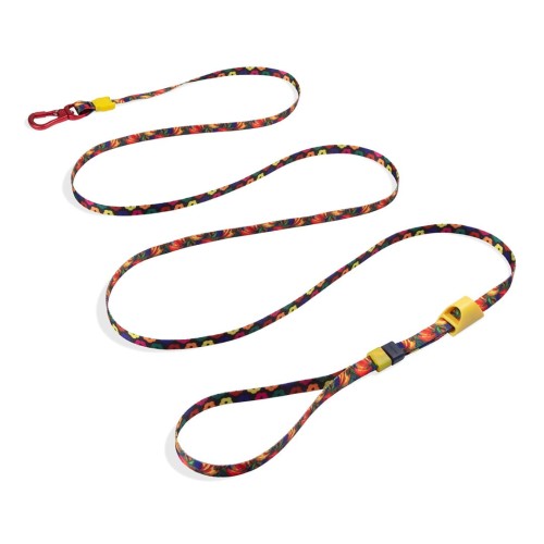 Farm_Long_Leash_Samba_1_r.jpg