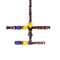 Farm_Leash_Harness_Samba_1_r.jpg
