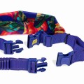 Farm_Running-Belt-Samba_2_o.jpg