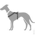 68084_001_grafik_20_1920x1920.jpg