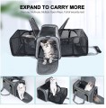 Freedog Torba transportowa dla psa i kota HK