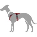 67497_001_grafik_20_1920x1920.jpg