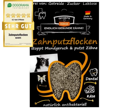 Zahnputzflocken-mit-Siegel.webp