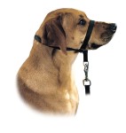 Hunter Kantar Follow Me