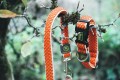 Hunter Obroża Hilo Vario Basic pomarańczowa