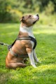 Hunter Szelki Neopren oliwkowo-czarne