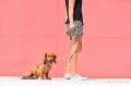 Zee Dog Smycz dla psa Phantom