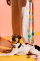 Zee Dog Smycz dla psa Salina