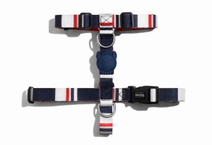 Zee Dog Szelki dla psa Rocket