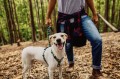 Zee Dog Szelki dla psa Woods
