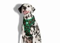 Zee Dog Szelki dla psa Woods Air Mesh