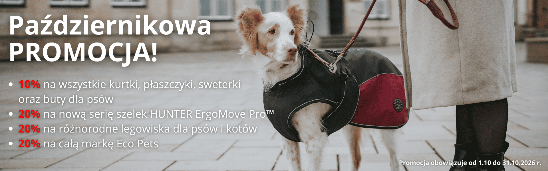 Promocje październik -20%